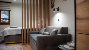 Regulus apartment Brzeće Kopaonik